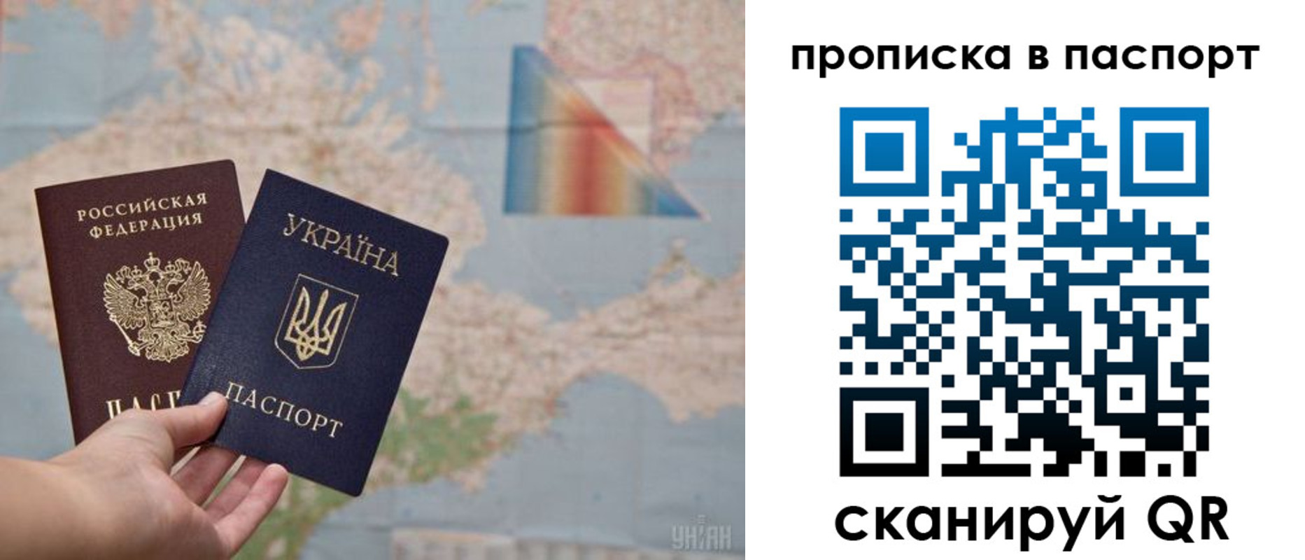 прописка поиск в Коле